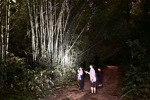 Khao Lak: Khao Sok Elephant Sanctuary and Night Jungle Walk Khao Sok Elephant Sanctuary and Night Jungle Walk