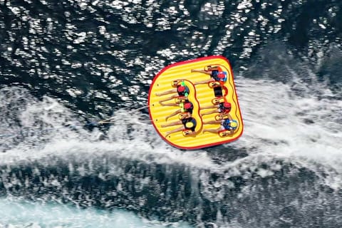 SALOU: CRAZY RING