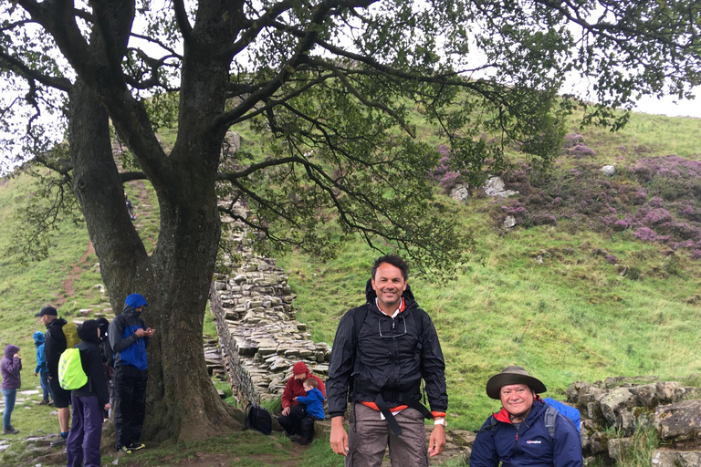 York Medieval: Complete Walking City Tour, In Spanish