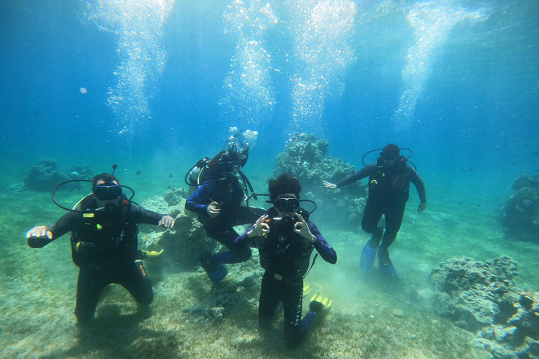 5 Days - 10 Boat dives package for Certified diver