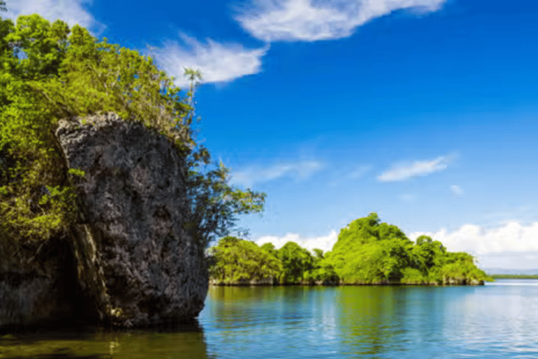 Punta Cana: Tour Samana Tudo Incluído Baleias Cascada Limon