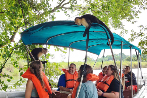 Tour Gatun Lake Wildlife Monkey Watch und Sloth Sanctuary