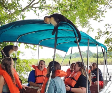 Tur til Gatun Lake Wildlife Monkey Watch og Sloth Sanctuary
