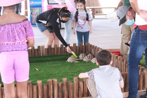 Dubaï : Carte d&#039;entrée au parc Safari de DubaïLaissez-passer pour le parc Safari