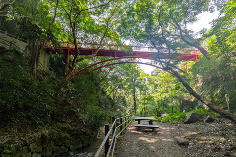 Nara: Mt. Ikoma Guided Hiking Tour with Cable Car and Views