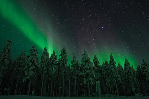 Rovaniemi: Aurora Hunt with 95% Success Rate, 4 people group Rovaniemi: Aurora Hunt with 95% Success Rate, PRIVATE