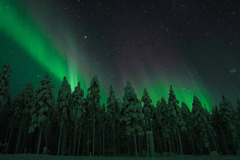 Rovaniemi: Aurora Hunt with 95% Success Rate, 4 people group Rovaniemi: Aurora Hunt with 95% Success Rate, PRIVATE