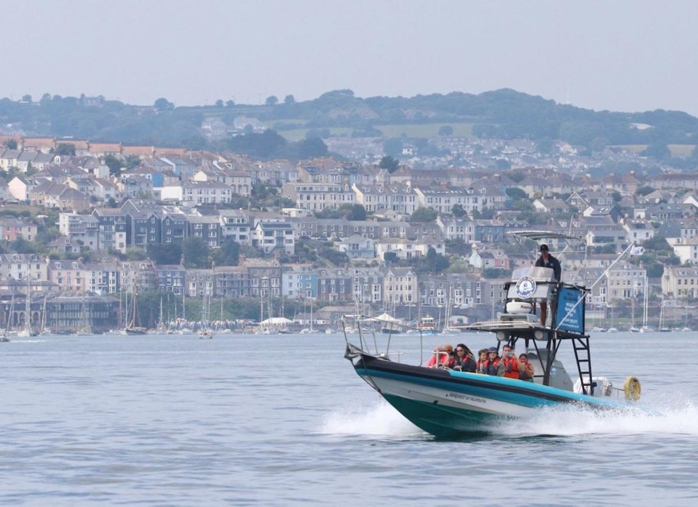 Falmouth: 2 timers RIB-tur til observation af dyrelivet
