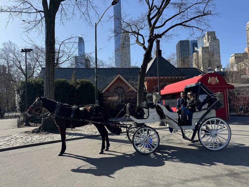 NYC:Guided Central Park Horse Carriage Ride | GetYourGuide