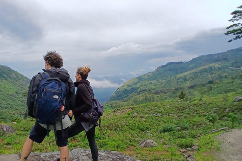 ELLA Lipton Seat Tea Test & Pluck 9Arch, Waterfalls, & Food Lipton's Seat, Little Adam Peak, 9 Arch, Ravana Waterfalls