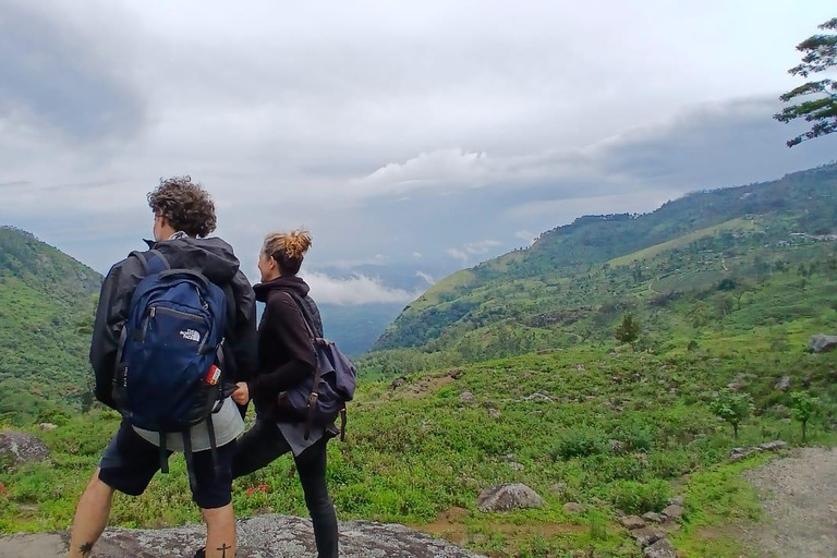 ELLA Lipton Seat Tea Test & Pluck 9Arch, Waterfalls, & Food Lipton's Seat, Little Adam Peak, 9 Arch, Ravana Waterfalls
