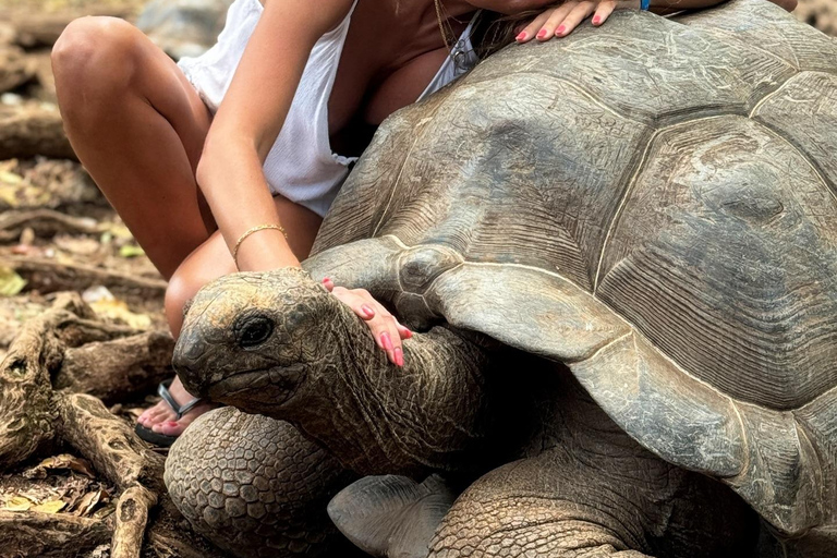 Ciudad de piedra y prisión Isla