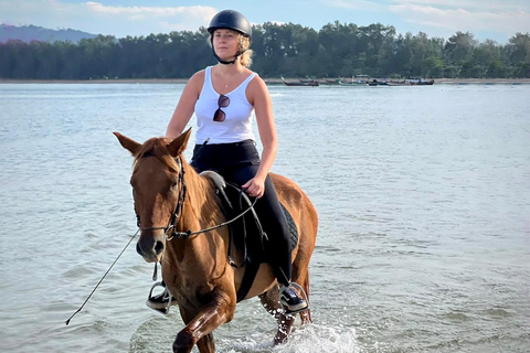 Phuket Sunset Beach Horseback Journey