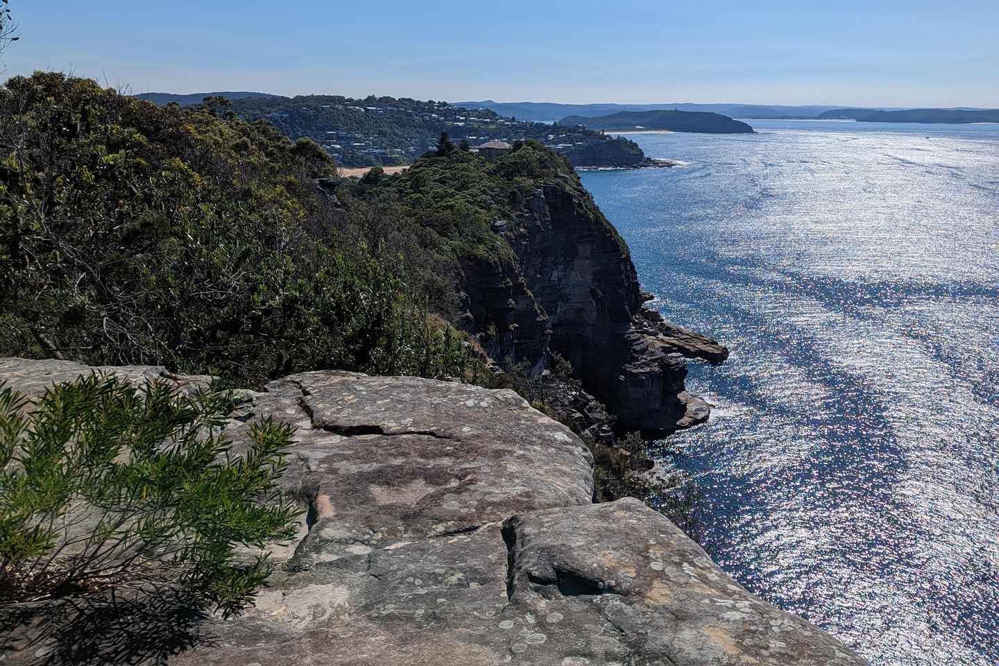 Sydney: Private Northern Beaches Tour, Manly to Palm Beach - Sydney: Private Northern Beaches Tour, Manly to Palm Beach