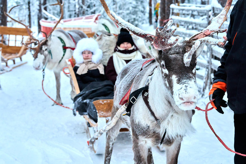Levi: Reindeer Sleigh Ride 1.5km In Magical Forest