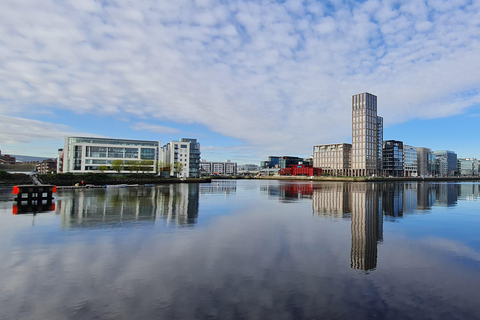Dublin : Private Sightseeing Tour of Dublin City