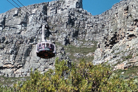 Cape Town: Table Mountain Cable Car Ticket