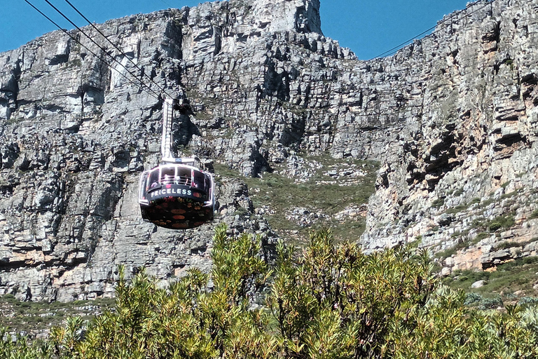 Cape Town: Table Mountain Cable Car Ticket