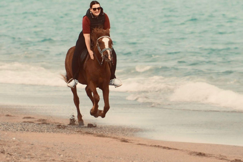 Side: Horseback Riding Adventure with Hotel Pickup
