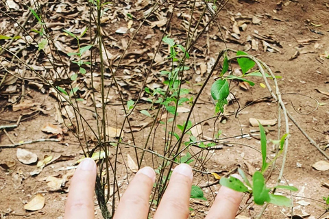 Zanzibar : Stone Town, visite des épices et de l'île prison avec déjeunerVisite privée
