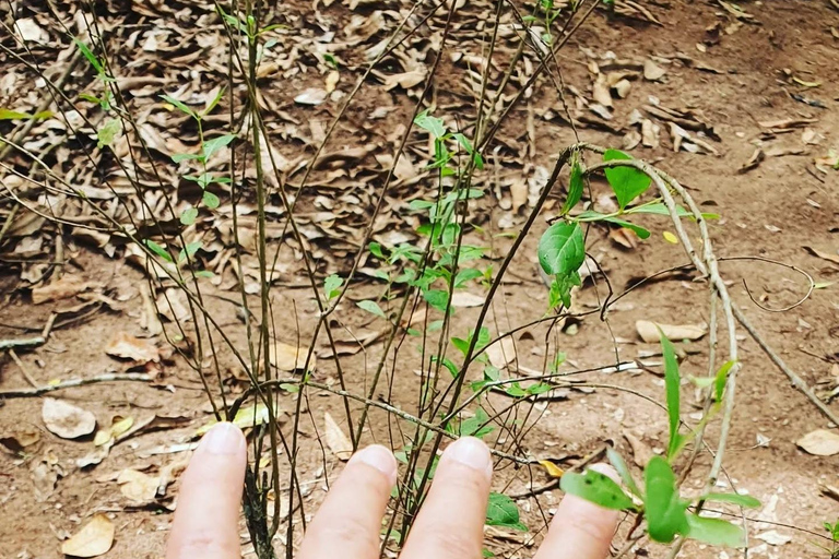 Zanzibar : Stone Town, visite des épices et de l'île prison avec déjeunerVisite privée