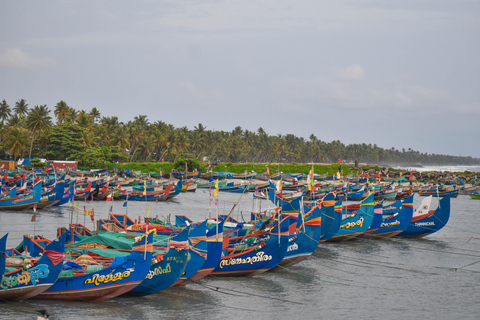 Village Bike Tour & Birdwatching in Alappey