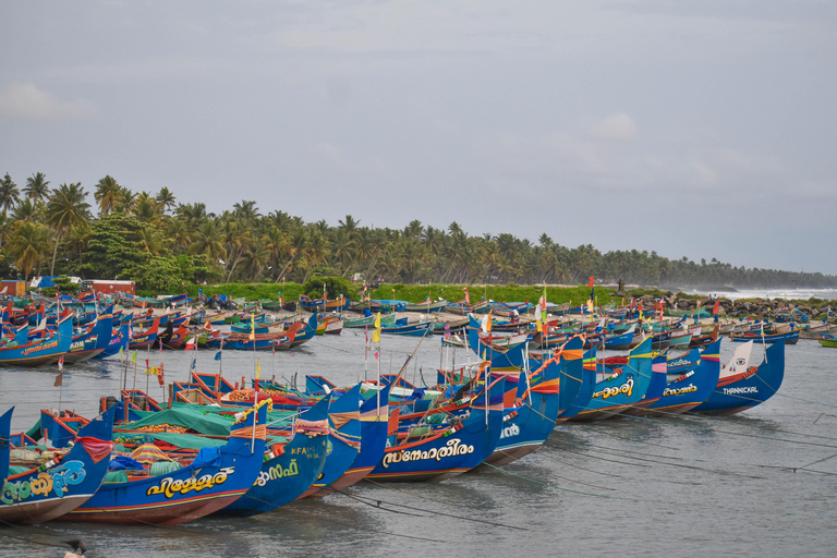 Village Bike Tour & Birdwatching in Alappey