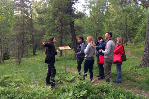 Stockholm: Abendliche Wildtier-Safari mit Mittsommer-EssenWildtier-Safari in Stockholm