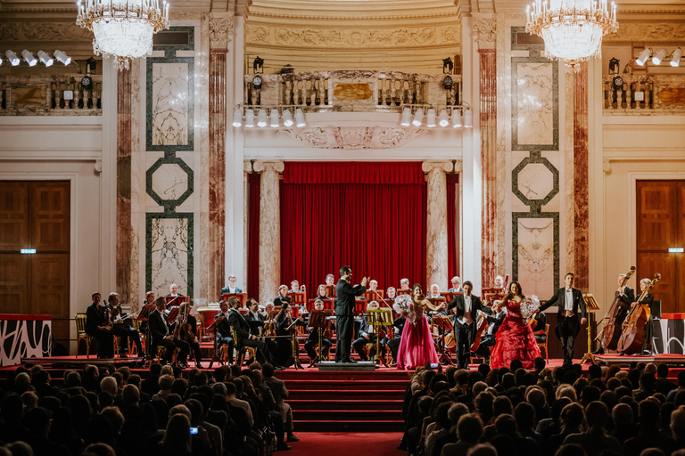 Wenen: Strauss en Mozart Concert in Paleis HofburgNieuwjaarsconcert: Categorie 2