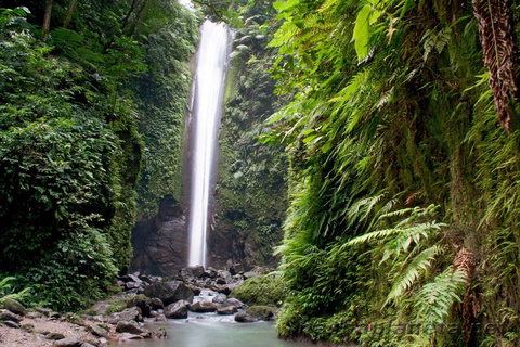 Dumaguete City Tour and Countryside Tour