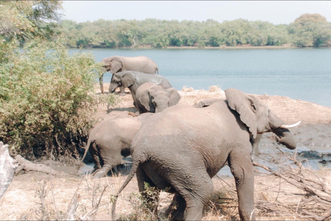 Zambezi-Wildwasser-Rafting &amp; White Rhino Walking Safari Combo