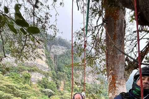 Bogota: Chicaque Nebelwald Tagesausflug mit Mittagessen