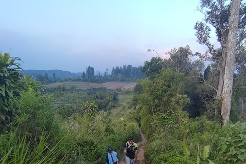 De Yakarta a Bogor: Excursión de un día a la Cascada de Luhur y al Lago Lido