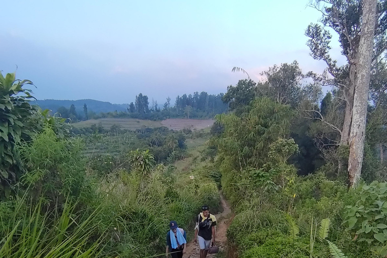 De Jakarta à Bogor : Excursion d&#039;une journée à la cascade de Luhur et au lac Lido