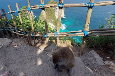 Nusa Penida : Visite guidée d&#039;une journée avec un chauffeur local comme guide