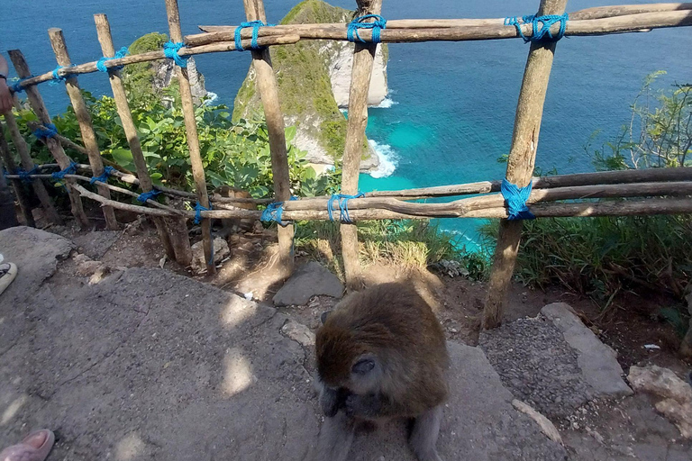 Nusa Penida : Visite guidée d&#039;une journée avec un chauffeur local comme guide