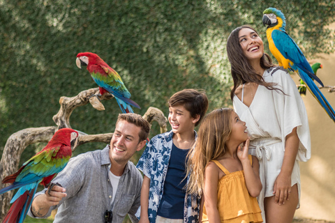 Parque de aves de Bali: ticket de un día