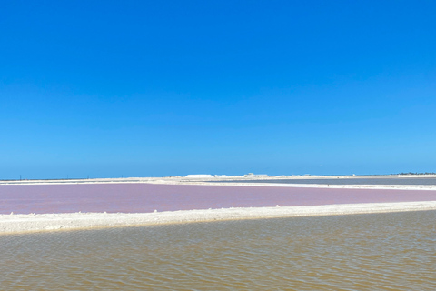 Natuurbelevenis Rio Lagartos en Las Coloradas.