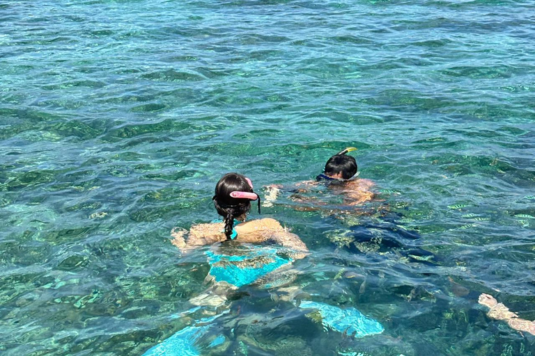 Lombok: Private Pink Beach and Gili Islands Boat Tour