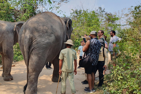 Siem Reap: Smågruppstur till Kulen Elephant Forest