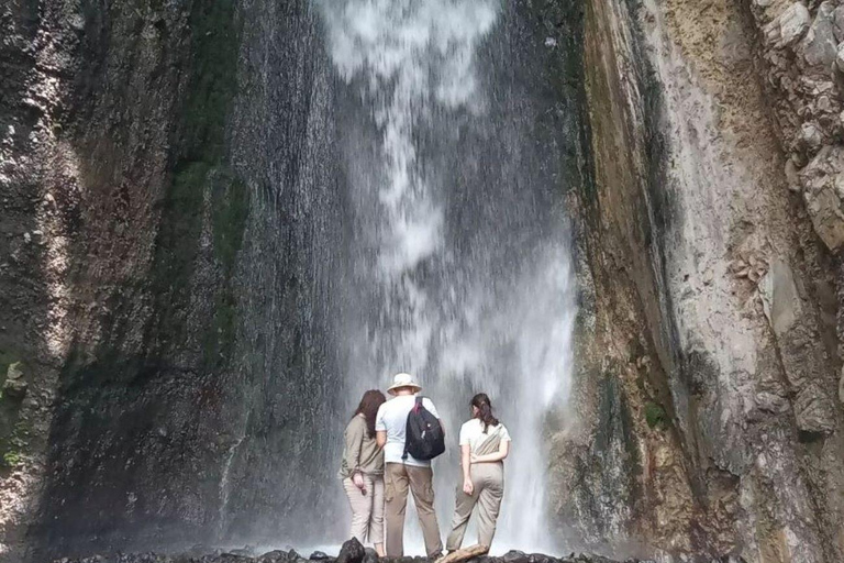 Arusha Park Memorable Safari Tour