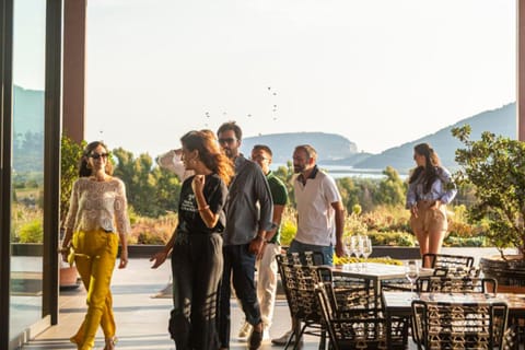 Luxury Winery Tour with Tasting & Food Pairing in Alghero