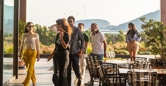 Alghero: Luxury Winery Tour, 3-Wine Tasting & Food Pairing