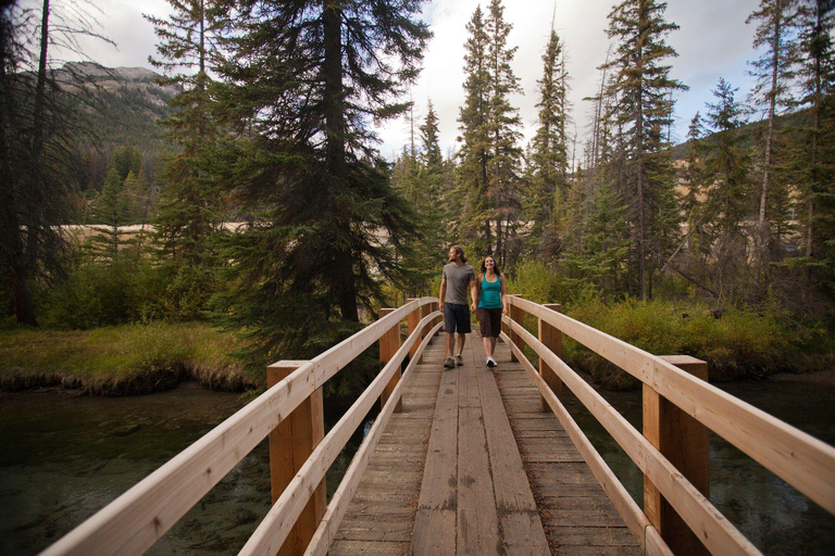 Banff: Thermal Waters and Hidden Waterfalls - 3hr Walk