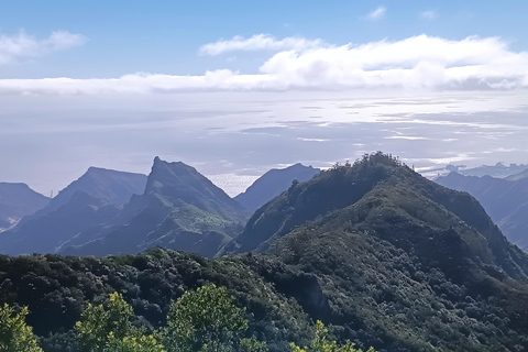 Puerto de la Cruz: Avatar forest -Taganana-Teresitas+coctail