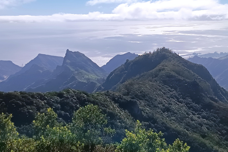 Puerto de la Cruz: Foresta di Avatar -Taganana-Teresitas+coda