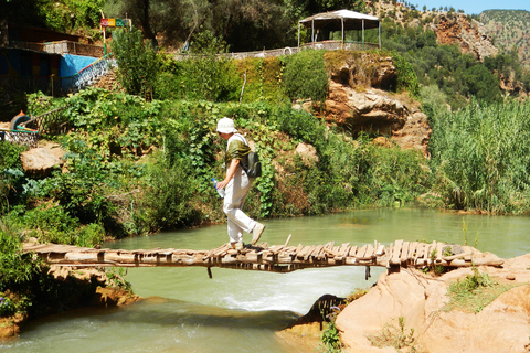 From Marrakech: Ouzoud Waterfalls Guided Hike and Boat Trip