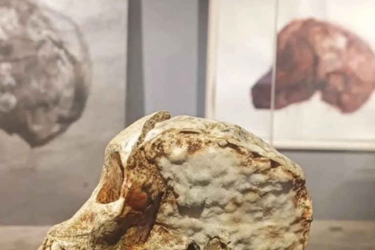 Joanesburgo: Tour de Zipline e Berço da HumanidadeJoanesburgo: passeio de tirolesa e Berço da Humanidade