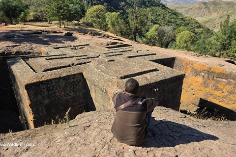 9 Days Ethiopia's Historical Sites and Djibouti Exploration