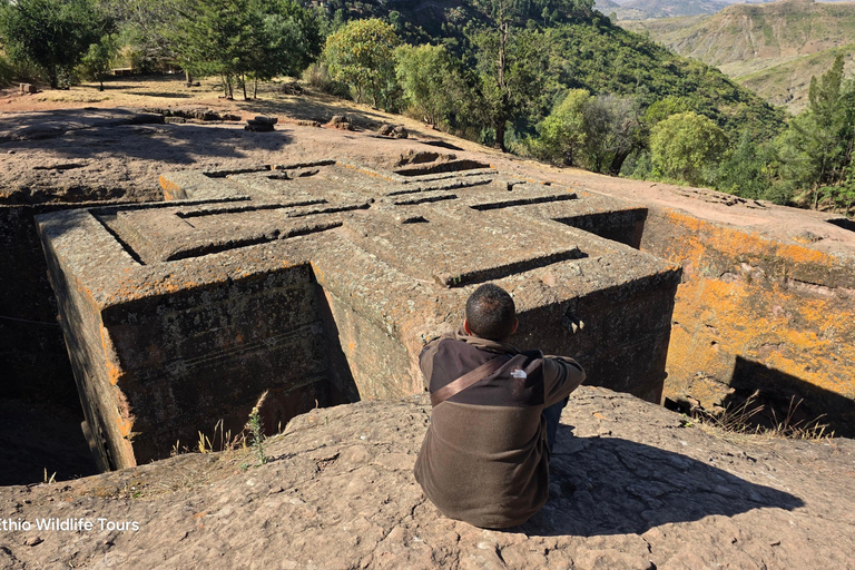 9 Days Ethiopia's Historical Sites and Djibouti Exploration